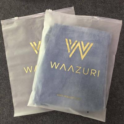 China Recyclable Biodegradable Custom Logo EVA /PE/PVC Frosted Plastic Ziplock Swimwear Bikini Packaging Bag for sale