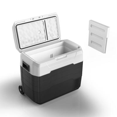 China -20â „ ƒ +10â „ ƒ OEM Double Zone Plastic AW52 Vaccine Cooler Box Medical Cooler For Car Boat Medical Use for sale