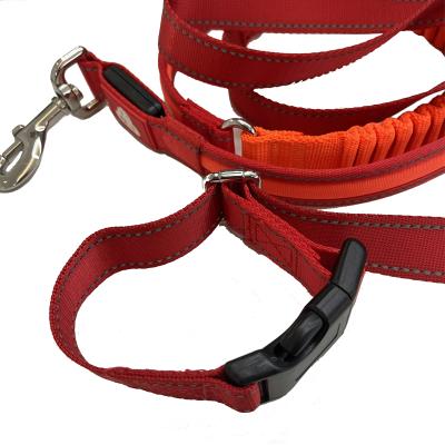 China Lights Design Strong Rope Dog Collars and Leather Leashes Custom Made for sale