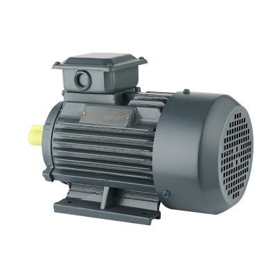 China YE2 series YE2 vertical three-phase asynchronous motor for sale