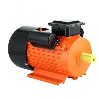 China YL series single phase asynchronous motor YL for sale