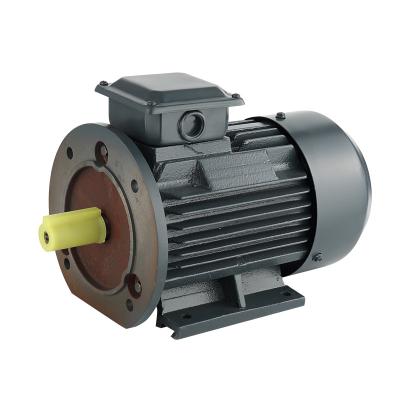 China YE2 series YE2 horizontal three-phase asynchronous motor for sale