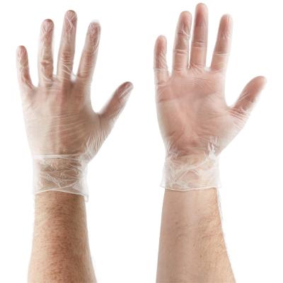 China Eco - Friendly Disposable PVC - Vinyl Gloves Transparent Powder Free Examination - Gloves for sale