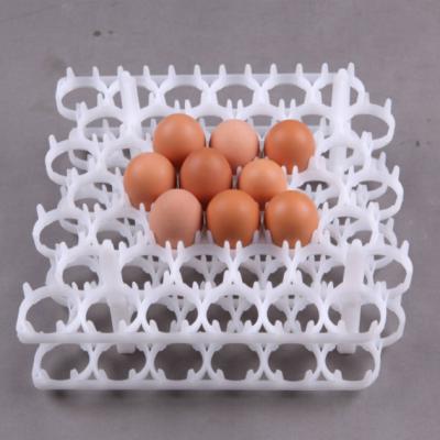 China Injection And Produce Plastic Egg Trays PVC PP PE Plastic Egg Tray Mold For 30 Eggs for sale