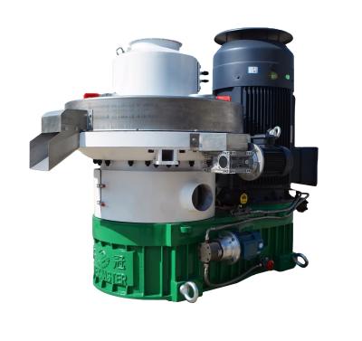 China Make Biomass Pellets New Product Biomass In 2021 Wood Pellet Machine Wood Pellet Mill With CE Approved For Sale for sale