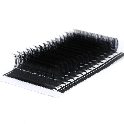 China Quality Winged Mink Eyelash Extension Korea Private Label Silk 0.07 Different Strands for sale