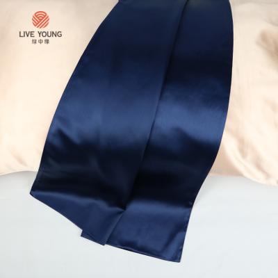 China Wholesale Anti-static Wholesale 100% Pure Silk Pillow Case 22MM Mulberry Silk Pillow Case Set With Boxes for sale