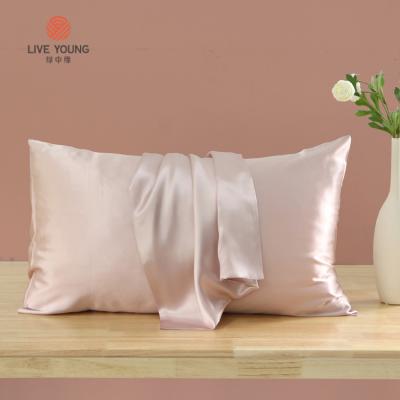 China New Arrival Pillow Cover 19 Momme 100% Pure Silk Mulberry Oeko Tex Silk Wrap Pillow Case Anti-Static for sale