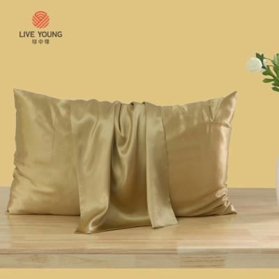 China 19momme Mulberry Silk Pillowcase 19mm Luxury Anti-static Chinese Pure Silk Pillowcase 100% Pure Silk Pillowcase for sale