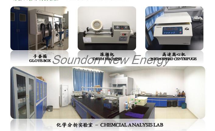 Geverifieerde leverancier in China: - Soundon New Energy Technology Co,.Ltd.