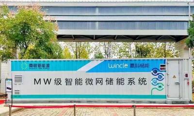 China 2MWh LiFePO4 40ft Container-Speicher-Batteriesysteme für Insel-Mikro-Grid-Kraftwerke zu verkaufen