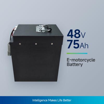 Cina Batterie ad alta capacità utilizzate nella batteria per motociclette elettriche NCM48V75Ah 12,5A Max corrente di ricarica in vendita