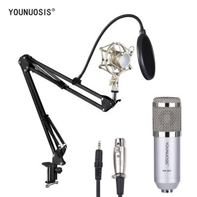 China Handheld microphone bm800 style studio recording microphone hot singing chat for sale