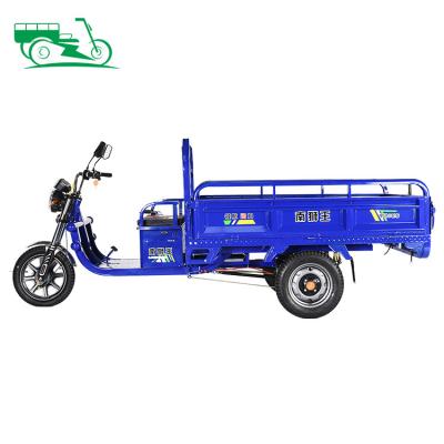 China Cargo/High Strength 60V 75km Ride Electric Tricycle 800w 1000w Pedicab Body 3 Wheel Open Adult Cargo Bike Replacement Tricycles for sale