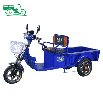 China China 550w 650w Electric Bike Cargo Ride Three Wheels Electric Cargo/Tricycle Electric Open Body Replacement Adult Blue Cargo for sale