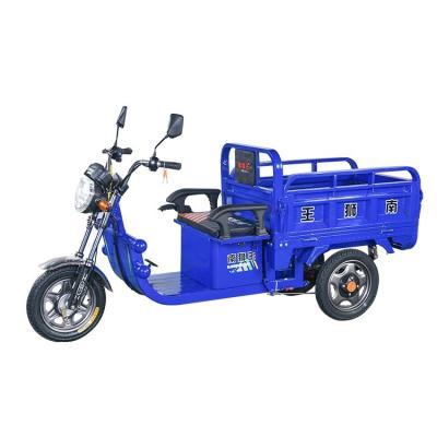 China Cargo/Electric Walk 48V 60V Two Wheel Body 3 Option Power Tricycles Available Open Bike 550w 650w Pedicab Replacement Adult Cargo Tricycles for sale