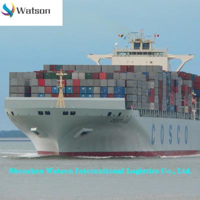 China China To Australia Sea Shipping DDP Home Delivery Service Watson-00013 for sale