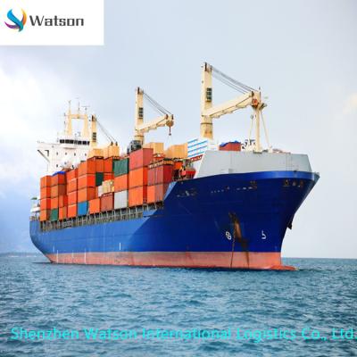 China Door To Door DDP DDU Full Sea Transport Service China To Dubai Middle East Dubai Watson0050 for sale