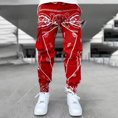 China Wholesale Anti-Wrinkle New All Over Print Streetwear Joggers Pants Loose Cargo Track Pants Men for sale