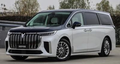 China 100km/h VOYAH Dreamer MPV EV Car 2022 7 zitplaatsen 4 zitplaatsen Mengxiangjia Te koop