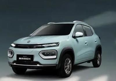 China Dongfeng Nanobox coche eléctrico en venta