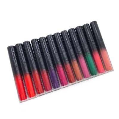 China Matte 12 Colors Moisture Velvet Lip Gloss Waterproof Lip Gloss Liquid Lip Gloss Tubes Private Label for sale