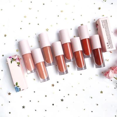 China Vegan High Gloss Waterproof Dye Lip Gloss Moisturizing Nude Liquid Lip Gloss Private Label Lip Gloss 8 Colors for sale