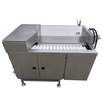 China Seafood Processing Crayfish Back Cut And Deveined Machine for sale