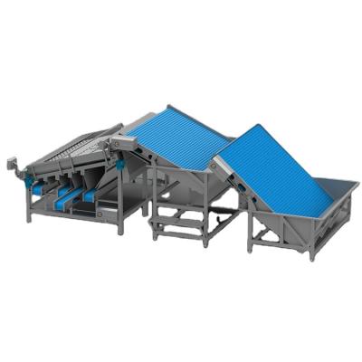 China Seafood Processing Shrimp Grading Machine for sale