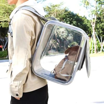 China Outdoor Portable Dog Carrier Bag Cat Bubble Backpack Transparent Pet Bag for sale