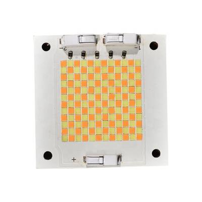 China 95cri csp customized 1919 and WW 300w cw cob led chip 1919csp light chip 30VDC led chip for sale