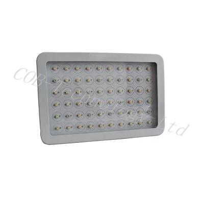 China Seed starting hot sale led grow light full spectrum 600w led plant grow lamp for indoor hydroponic medicinal plants with veg and flower switch for sale