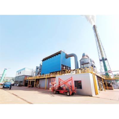 China Disposal Sludge Incineration Plant Combustion Treatment  Pumping Feeding Type for sale