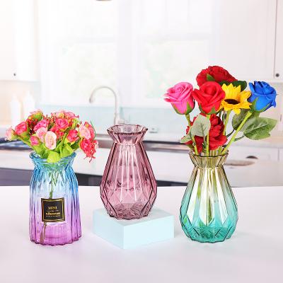 China Creative Amazon Glass Bottle Desktop Modern Hot Dry Flower Hydroponics Vase Home Decorative Living Room Crystal Glass Bottle Desktop Decorative for sale