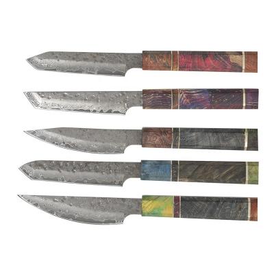 China Amazon Hot Sale Professional Chef Knife High End Factory Stocked Custom Damascus Fruit Knife for sale