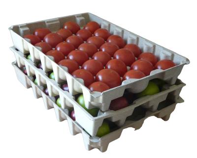 China Environmental Friendly China Supplier Automatic Egg Tray Making Machine With Dryer Price for sale