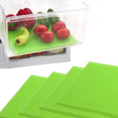 China Viable Fridge Mat For Fruits And Vegetable Life Supplement for sale