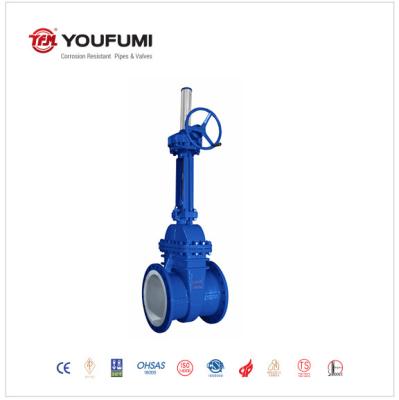 China FEP Lined Gear Operated Gate Valve , 10inch ANSI Standard Gate Valve For PVC for sale