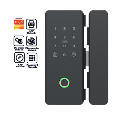 China TTLOCK Wholesale Price Tuya Wifi Fingerprint Smart Door Lock Biometric Keypad Glass Touch Lock for sale