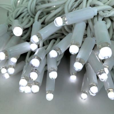 China Super brightness 10LM/LED 220V Gluing IP65 outdoor Christmas festival white LED string light 10M 100 LED/set multi color for sale