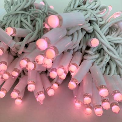 China Patio & garden Outdoor String Lights Christmas festival lighting wholesale price Pink LED for wedding or birthday party for sale