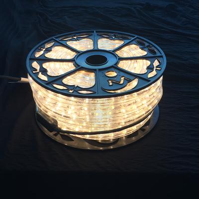 China AC110V / 220V LED rope light 50M roll packing Christmas decorative lighting diameter 13mm Clear PVC housing multi color for sale