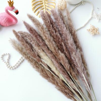 China Bridal Dry Boutonniere Large Mini Natural Wholesale Hot Selling Wedding Home Decoration Decor Flower Bouquet Arrangement for sale