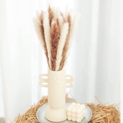 China Home Decor 15 Pcs Dried Pampas Grass For Decor Flower Arrangement Boho Home Decor for sale