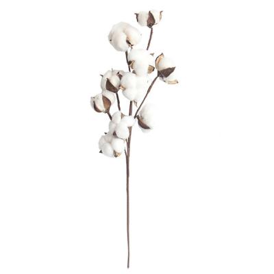 China Natural effect for vases cotton garland & Cotton Garland 10 Cotton Toppers Per Real Floral Stem Elastic For Home Decor Wedding Centerpiece Farmhouse Style for sale