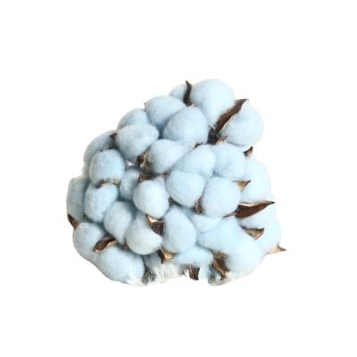 China Natural effect for vases cotton garland & Garland Cotton Stems Farmhouse Decorations Cotton Decor Floral Stems and Artificial Branches. Faux Cotton Flowers for sale