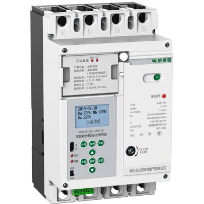 China WE0241EZL-250CY intelligent residual current imbalance real-time monitoring protection circuit breaker for sale