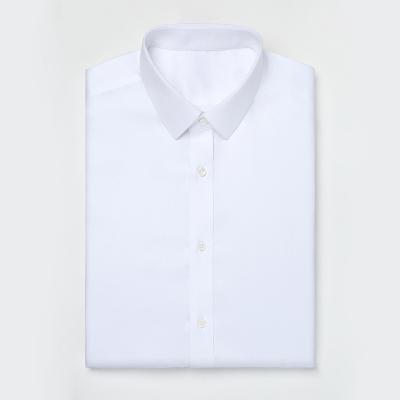 China Anti-pilling Men's Dress Shirt Short Sleeve Business Shirt 100% Cotton Iron Non for sale