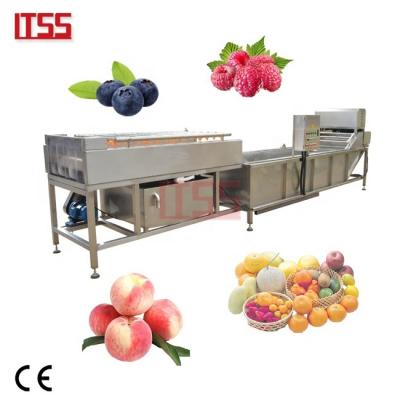 China Easy Operation Brush Air Bubbles Fruit Seal Root Vegetable Washing Machine for sale