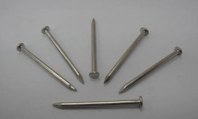 China High quality wire nails factory, common wire nails price for sale